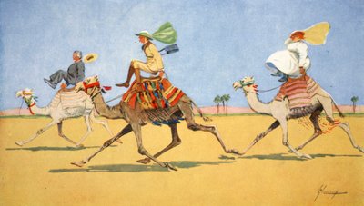 Cup and Ball, the Camel